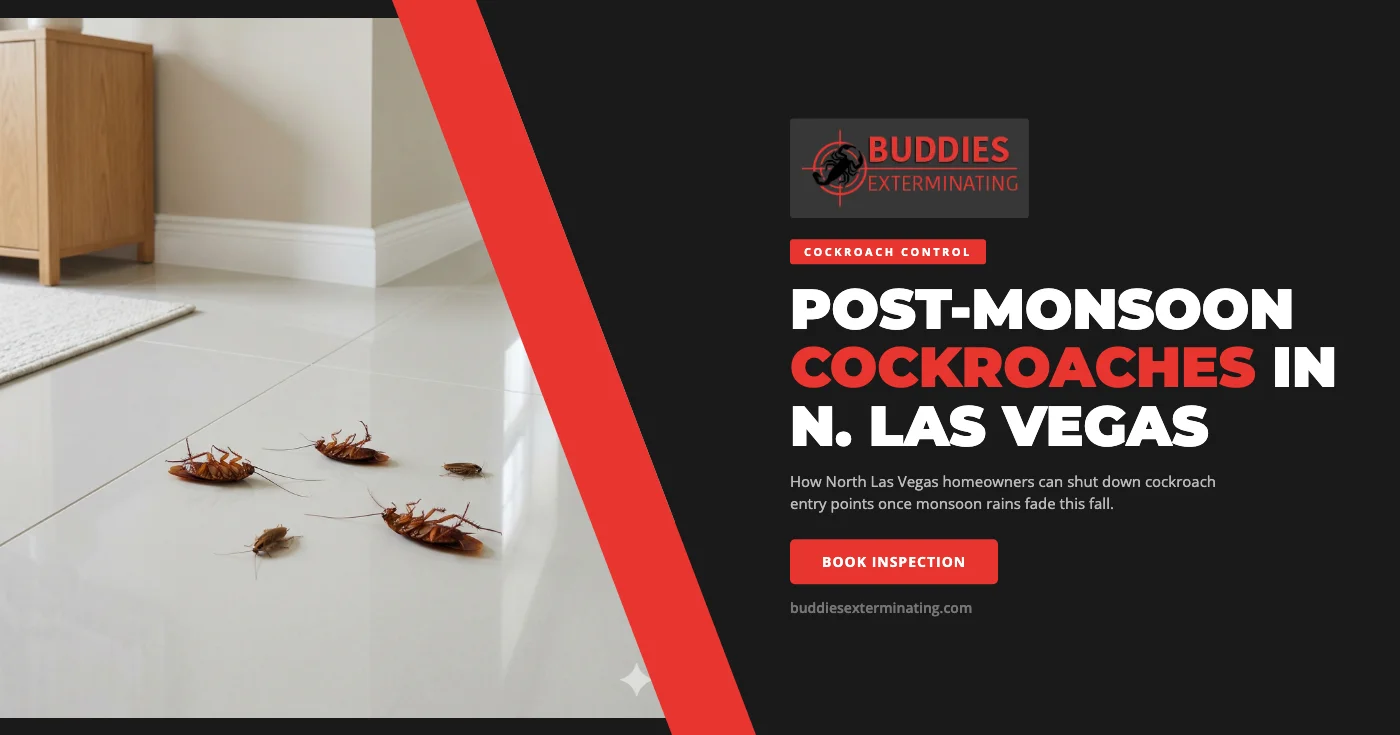 Post-Monsoon Cockroach Prevention for North Las Vegas, NV Homeowners This Fall