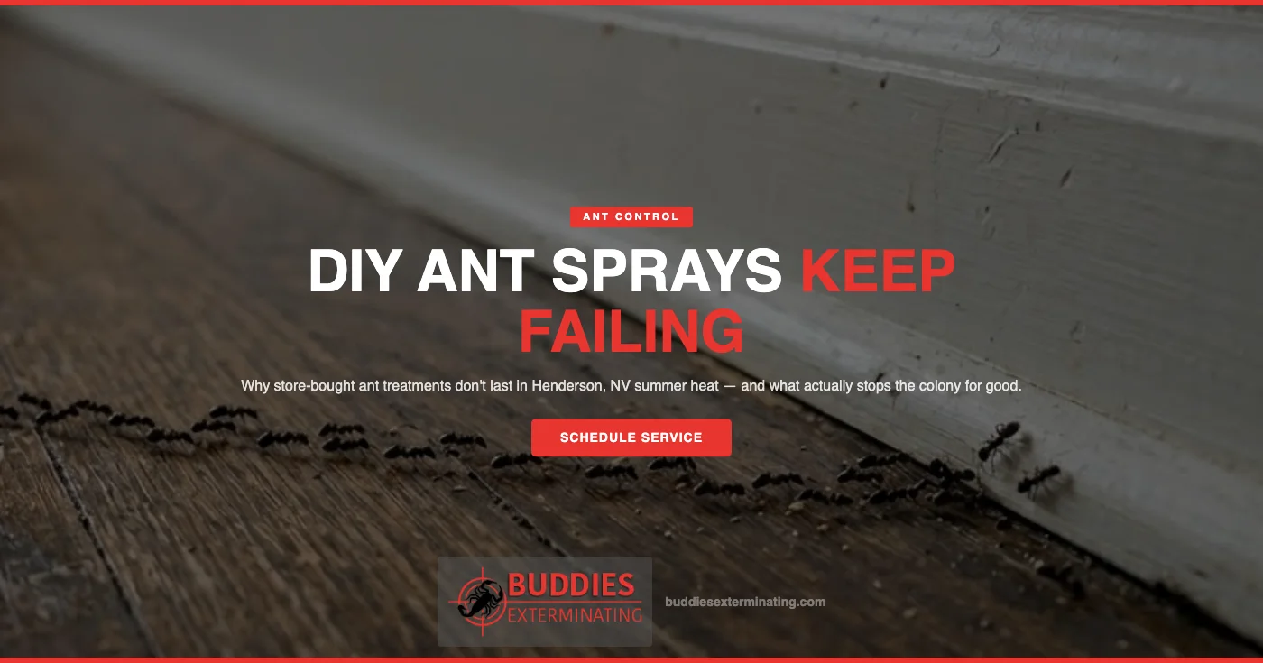 DIY ant spray failing on a kitchen counter in a Henderson NV home - Buddies Exterminating Argentine ant, odorous house ant, and carpenter ant control
