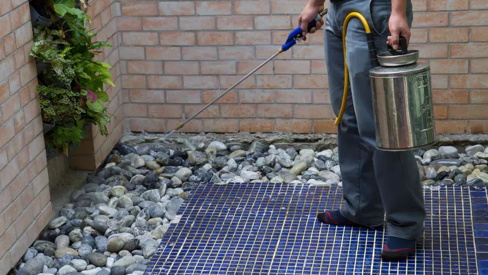 Home Maintenance Tips to Keep Pests Away