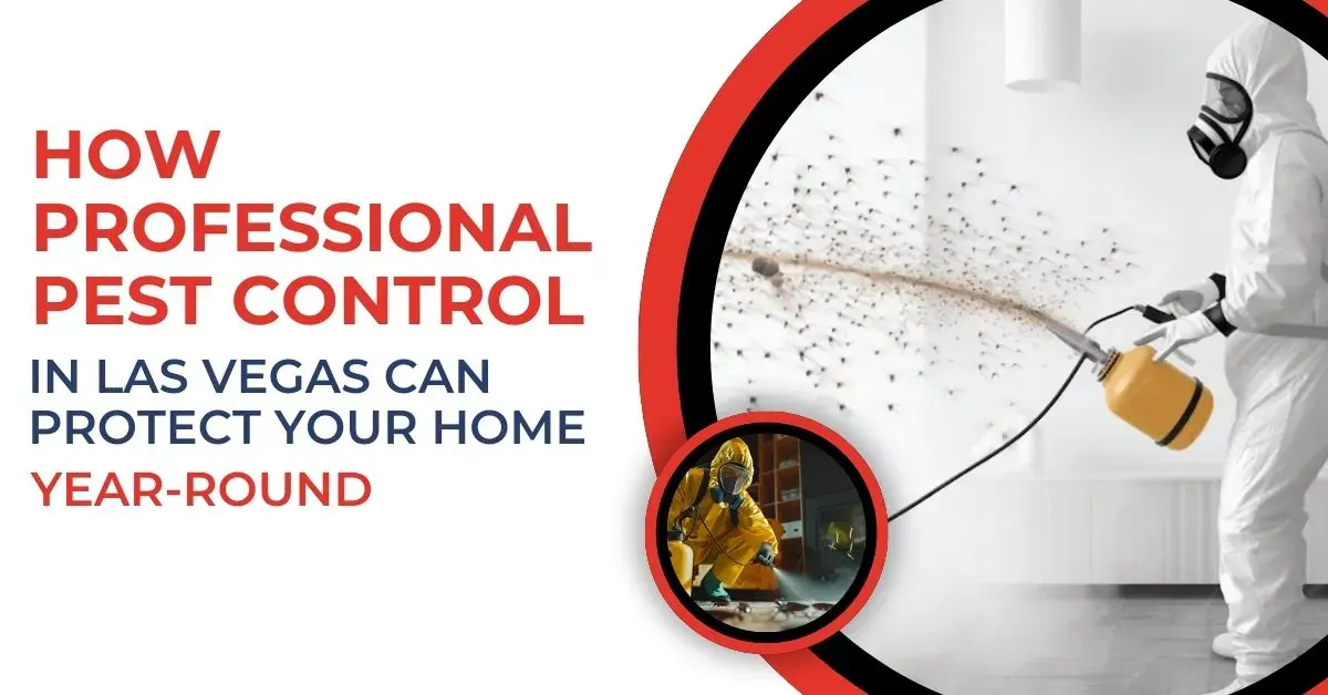 Trusted Pest Control Las Vegas Services | Buddies Exterminating