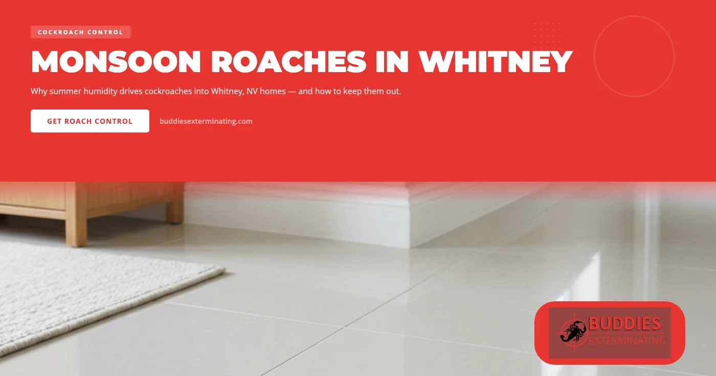 How Monsoon Moisture Drives Cockroaches Into Whitney, NV Homes This Summer