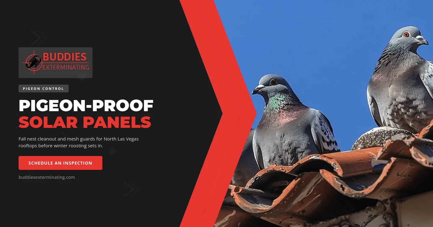 Pigeons perched along the edge of a rooftop solar panel array on a tile roof in North Las Vegas.