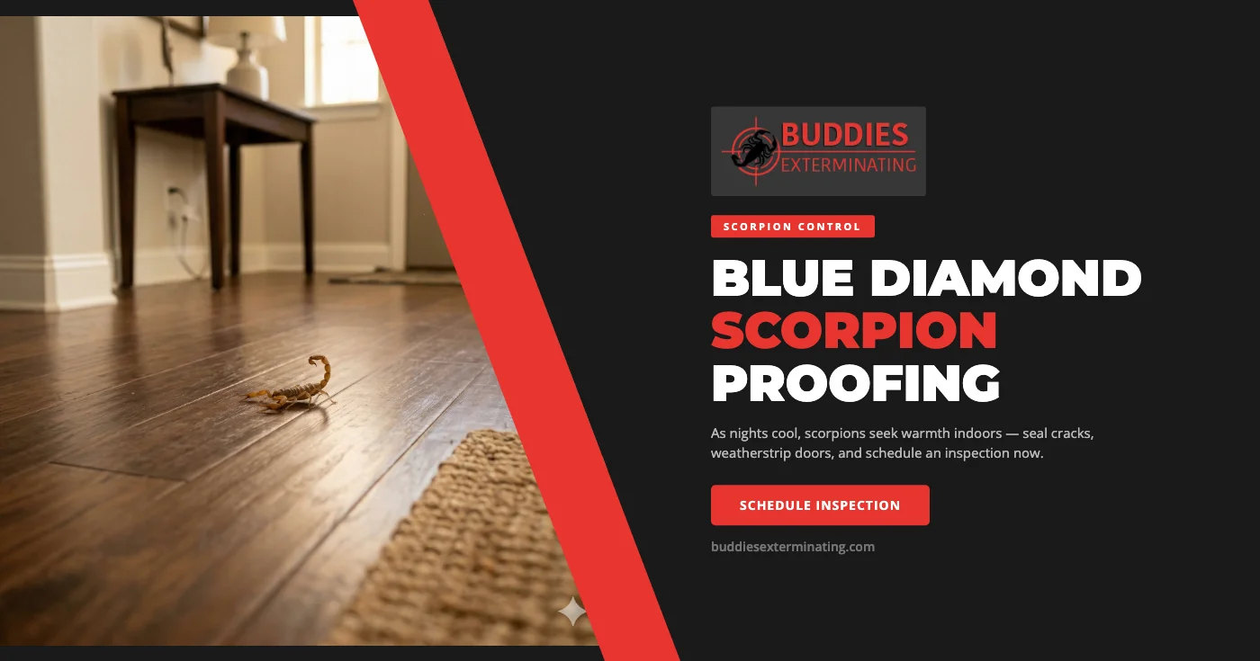 Scorpion-Proofing Your Blue Diamond, NV Home: Sealing Entry Points Before Fall