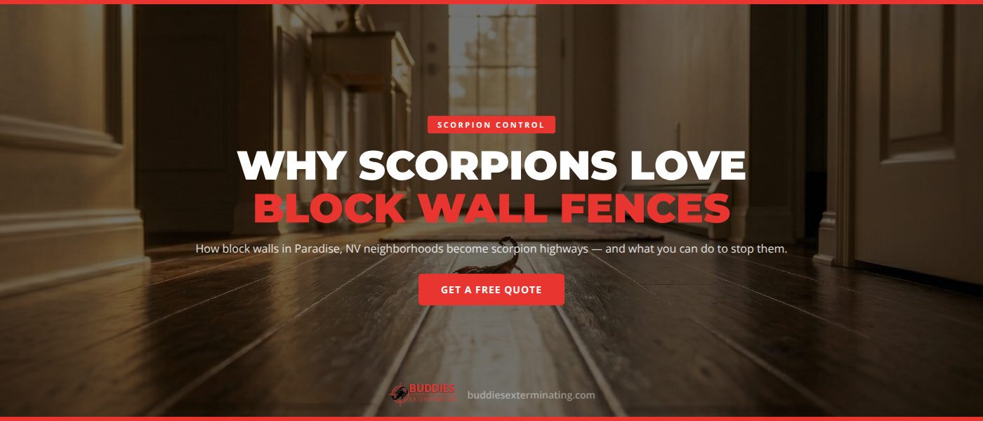 Scorpion Control in Paradise, NV: Why Scorpions Love Block Wall Fences in Your Neighborhood
