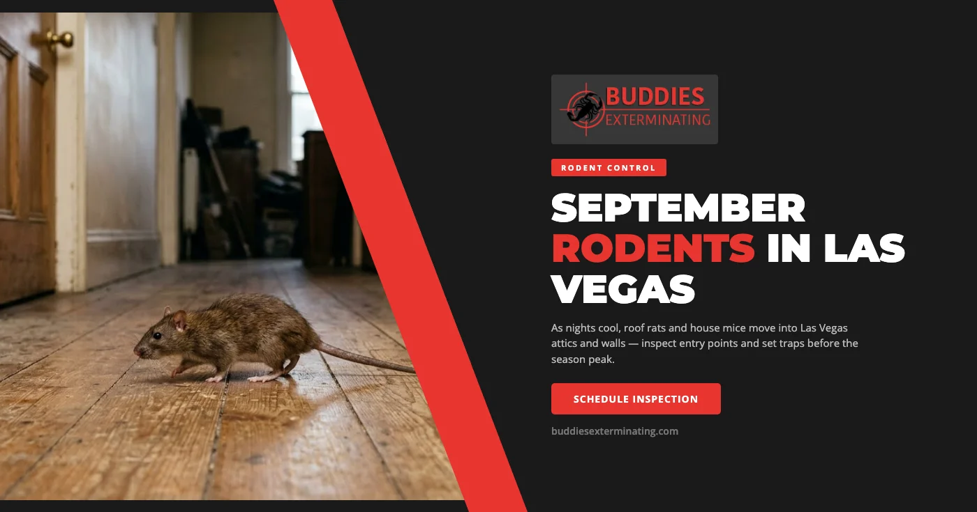 September Rodent Alert: Why Las Vegas, NV Homes Are Targeted as Summer Cools Down