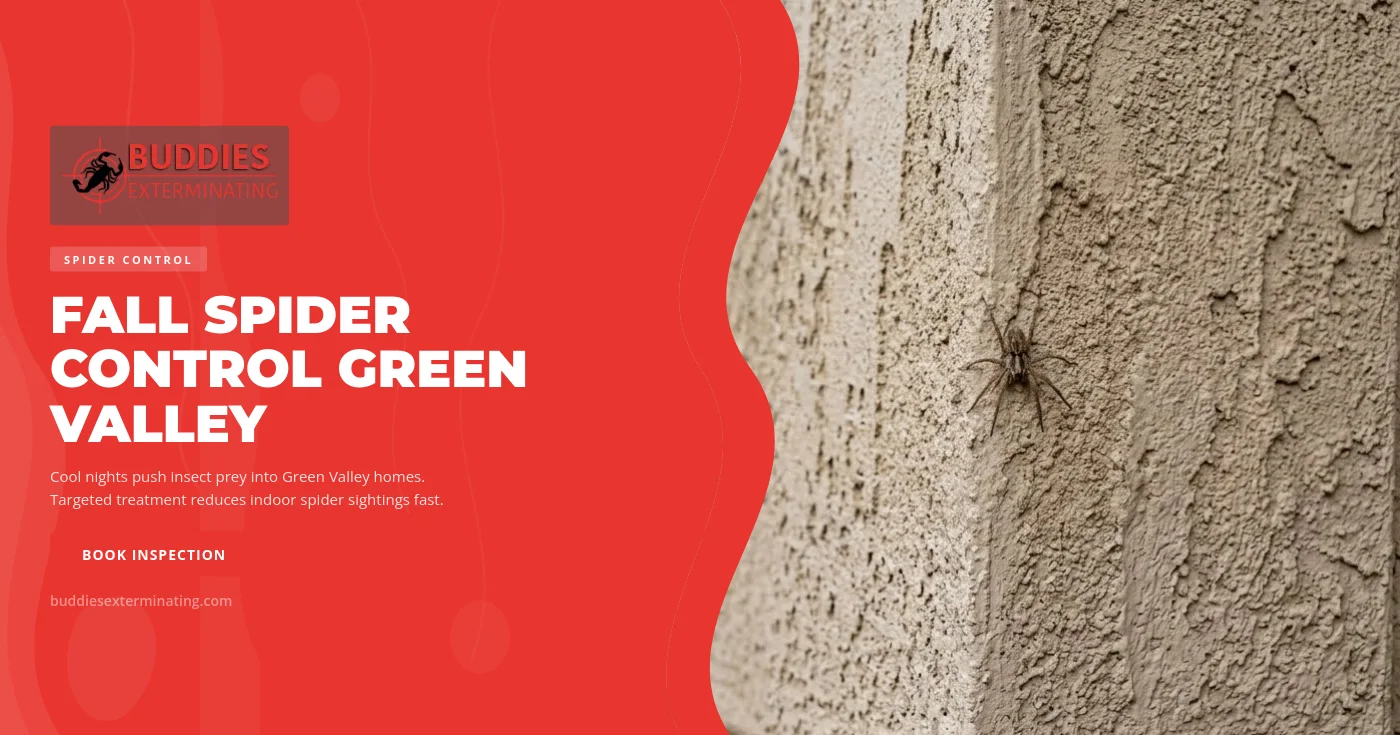 A western black widow spider on a tangled web inside a shaded garage corner in Green Valley, NV during fall.
