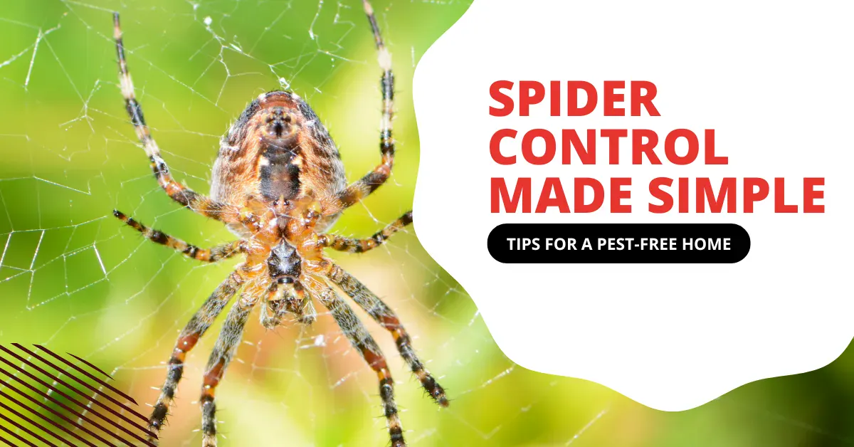Easy Spider Control for a Pest-Free Las Vegas Home