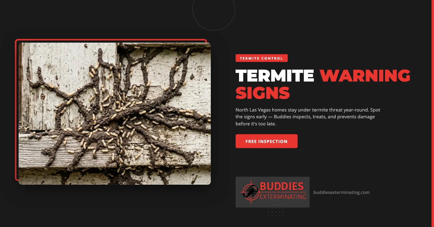 Termite mud tube on foundation wall in North Las Vegas NV — active subterranean termite evidence