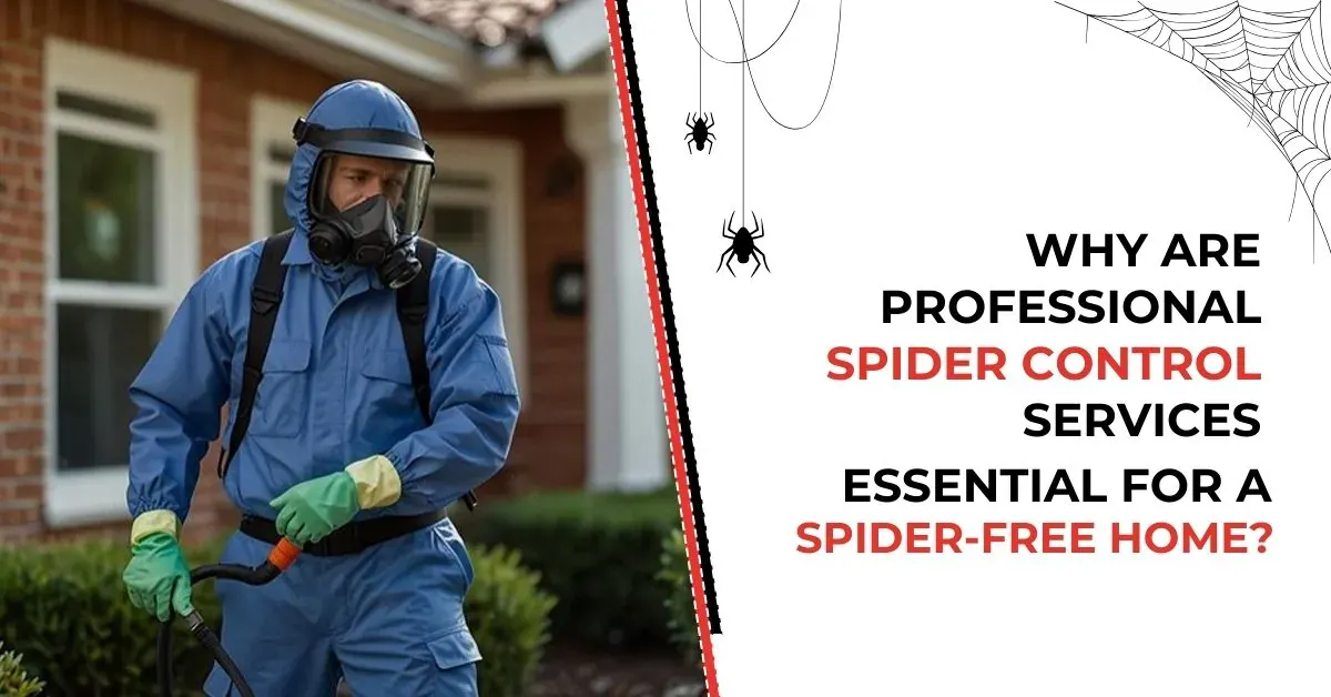 Get Rid of Spiders with Expert Spider Removal Services