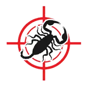 Scorpion Pest Control