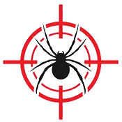 Spider Control